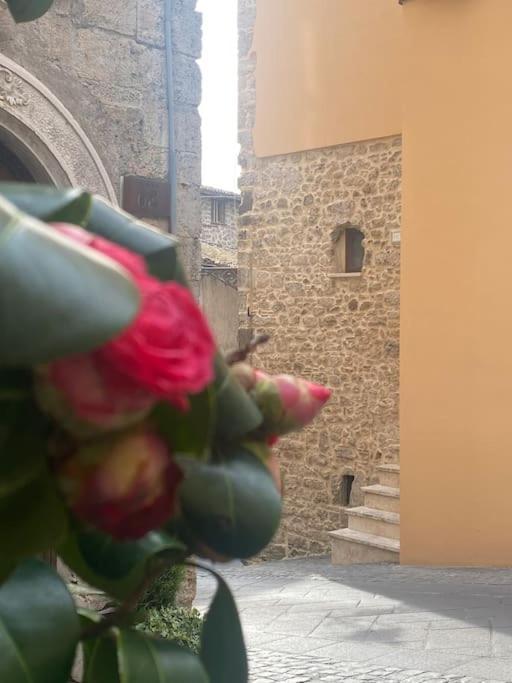Il Nido Dell'Arte Apartment Anagni Exterior photo